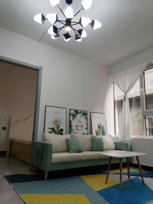 ��ɽСѧʮ�����������·������绰��΢��