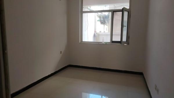 19603���⣺�ʾ��Ϲ�Сѧ����