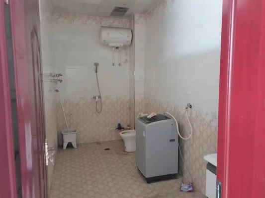 T18244���⣺˫������