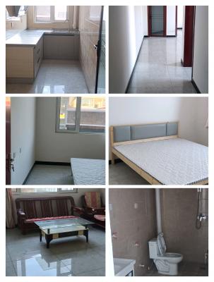 �䰲�еڶ���ѧ������԰��ʮ�����ߺŵ�Ԫ������