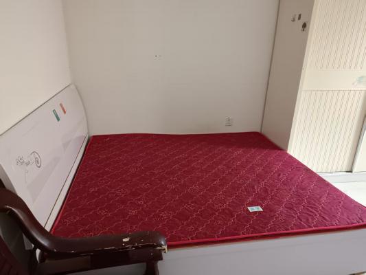 ����}ǿСѧ����һ��һ��һ��