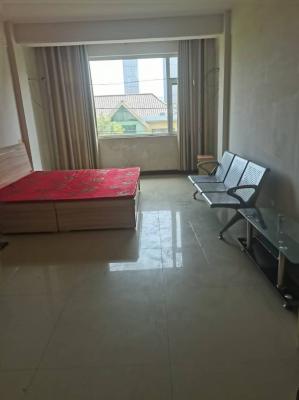 ��ԷСѧ�����������