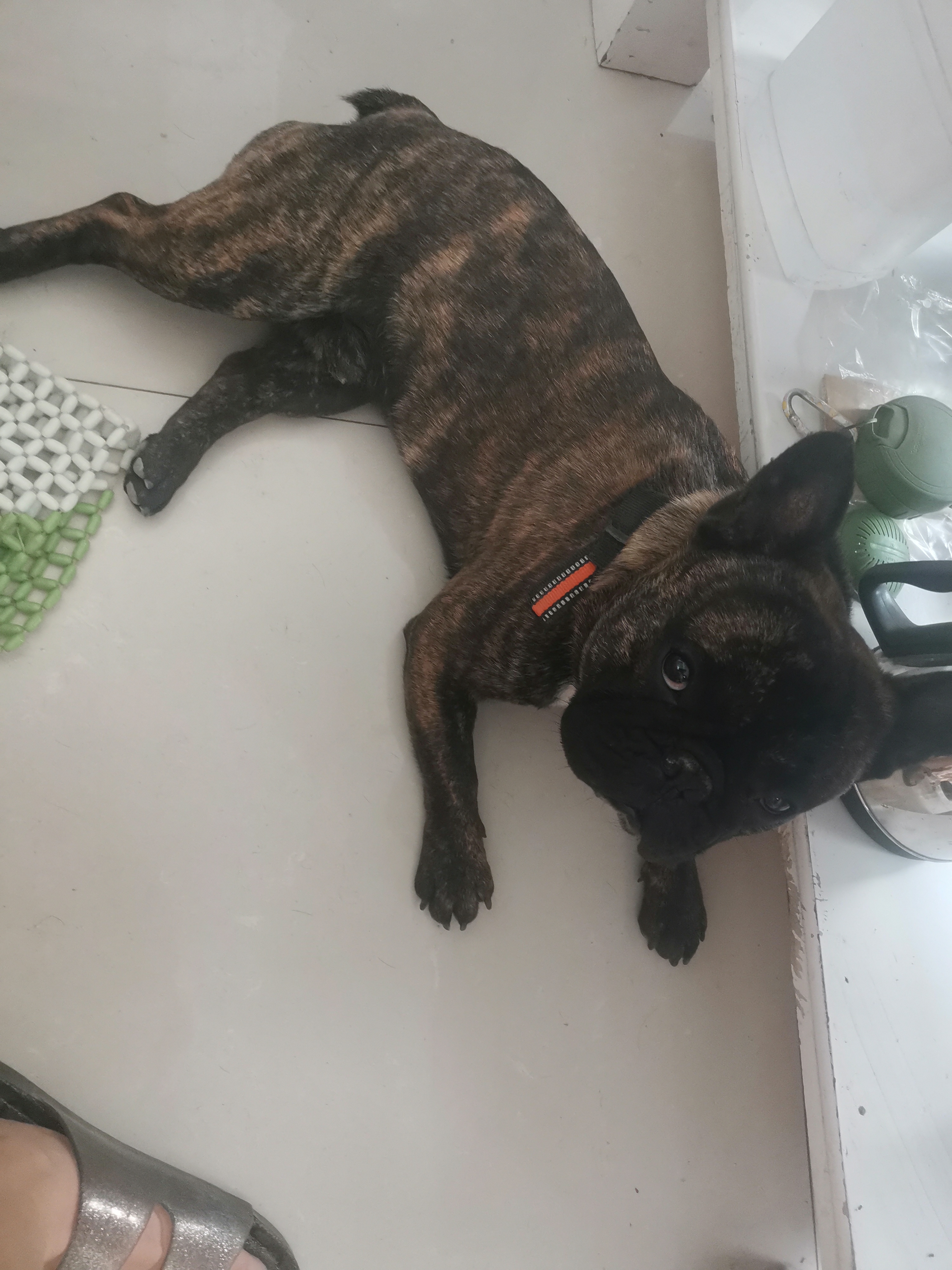 Ѱ�����߷���������31���ڸ����߶�