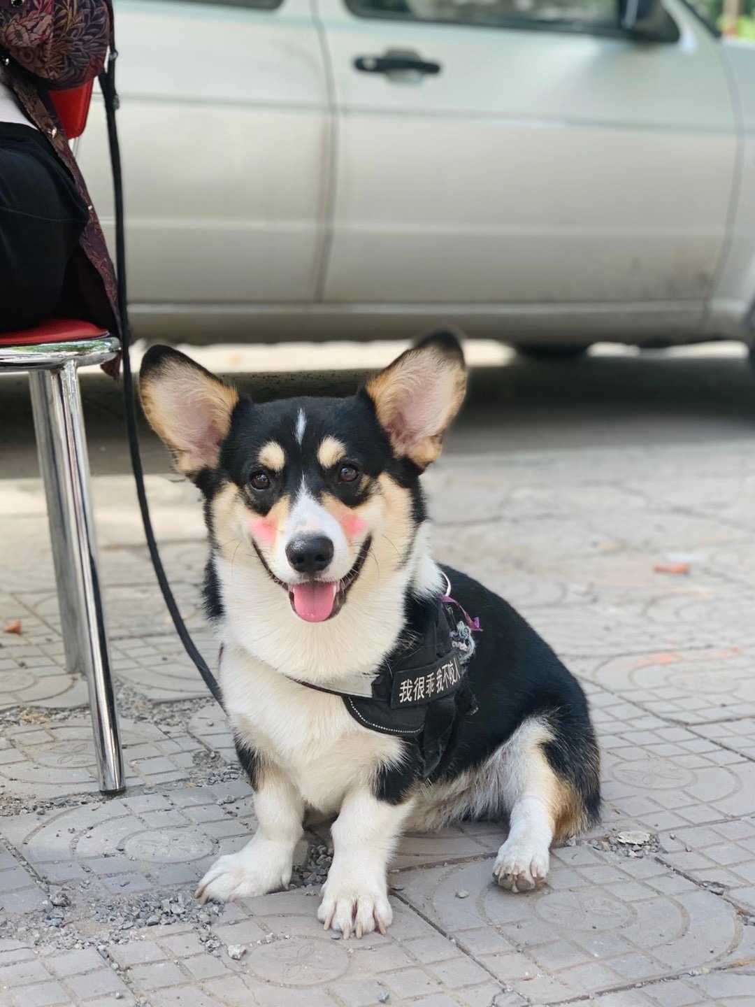 Ѱ����ʾ��������л��