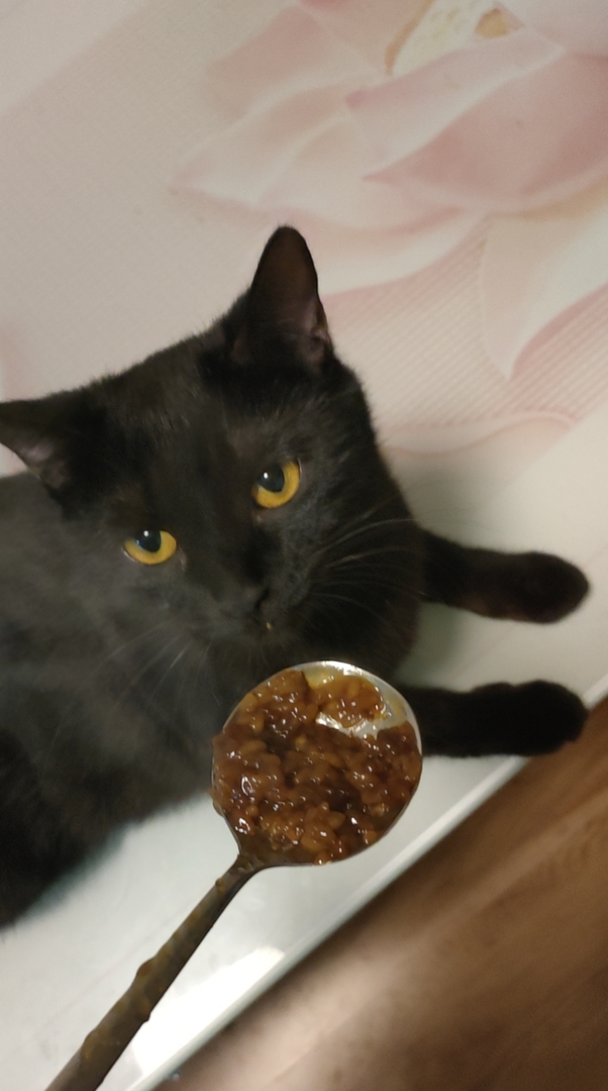 Ѱè���£���