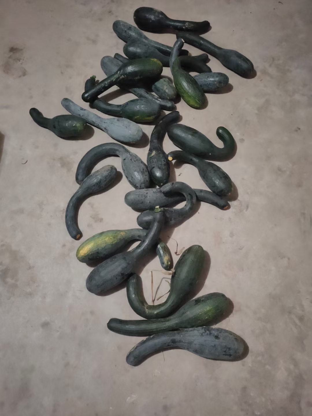 ���� ��������ѿ������Լ��ֵ��Ϲ� ���� ����