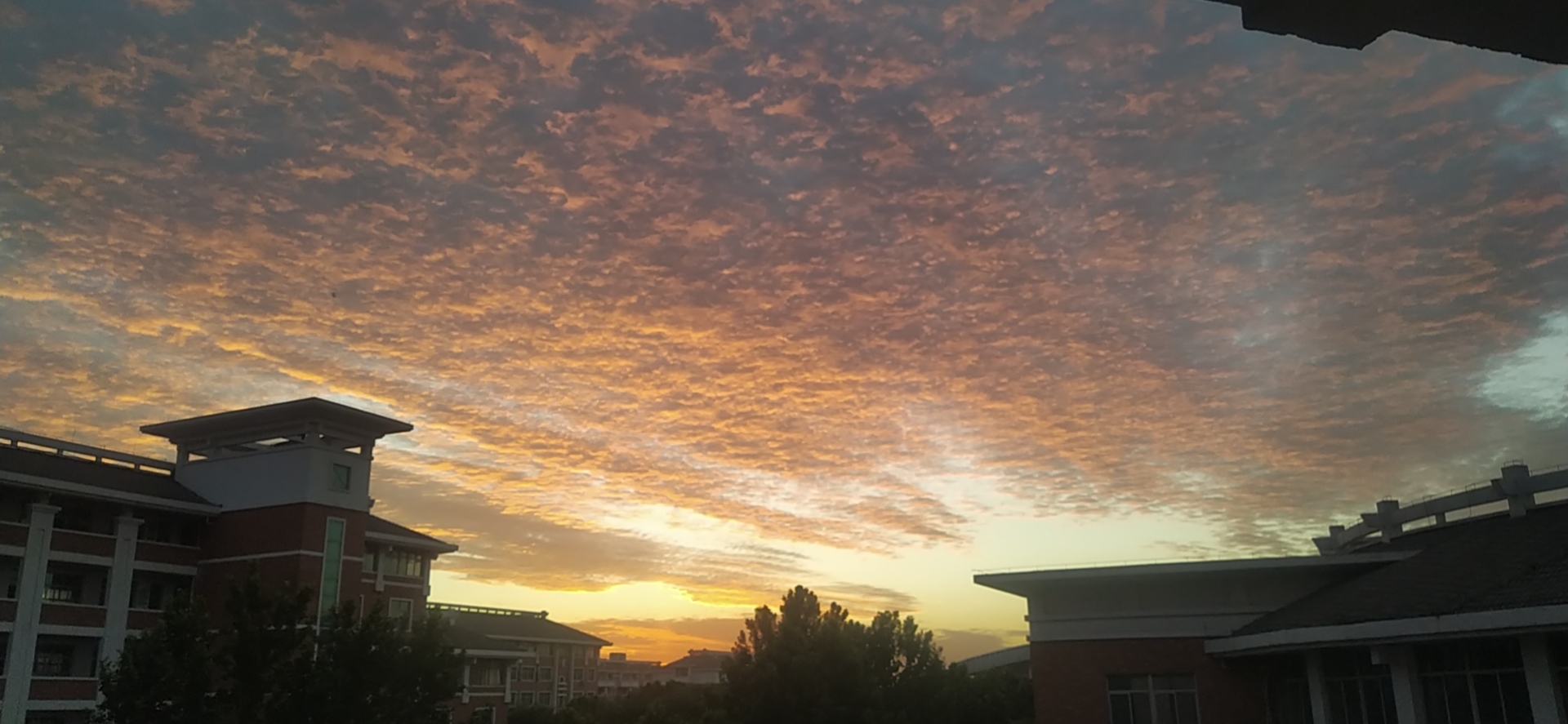 �䰲һ����Ƹ����﹤����