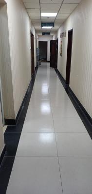 ��Ƹ��Сѧ��ʦ