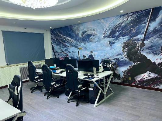 �羺��Ϸ����