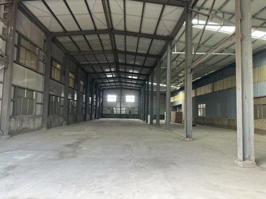 ��Ƹ����