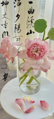 ����ʱ������24Сʱ�㻤��9�죬һ��150������20���к����䰲����