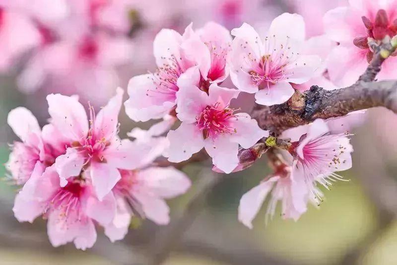 ����ת�ã���������ϵ��